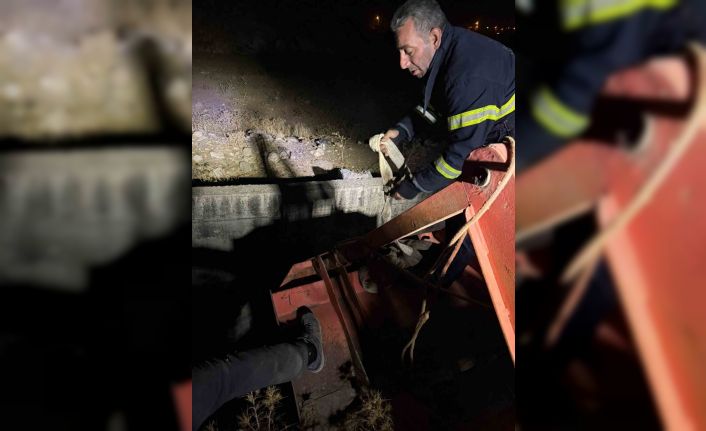 Siirt’te kanala düşen inek kurtarıldı