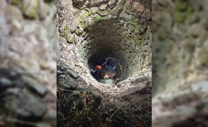 Siirt’te su kuyusuna düşen ineği ekipler kurtardı