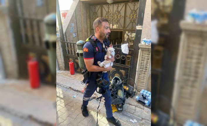 Siirt’te yangında mahsur kalan kediyi itfaiye ekipleri kurtardı