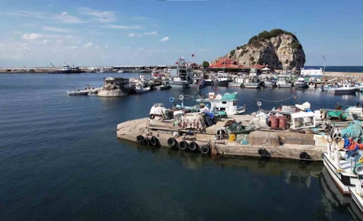 Şile’de bu yıl palamut avı beklenenin çok altında kaldı