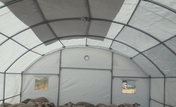 Sındırgı’da depremden etkilenen üreticilere geçici hayvan barınma çadırı desteği