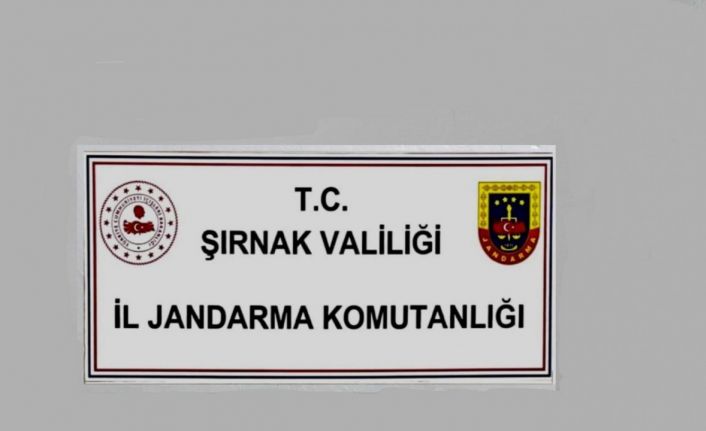 Şırnak’ta jandarmadan kaçakçılık operasyonu: 1 tutuklama