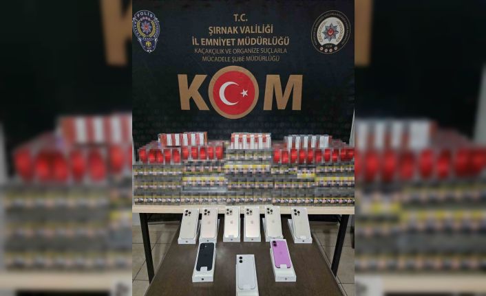 Şırnak’ta kaçakçılık operasyonu: 1 gözaltı