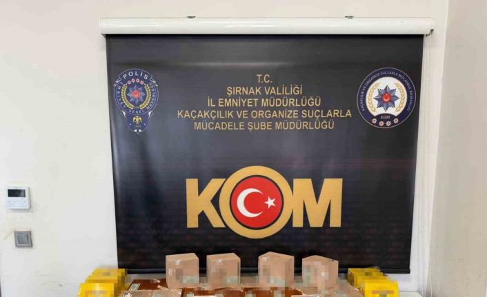 Şırnak’ta narkotik, kaçakçılık ve asayiş operasyonu: 3 tutuklama