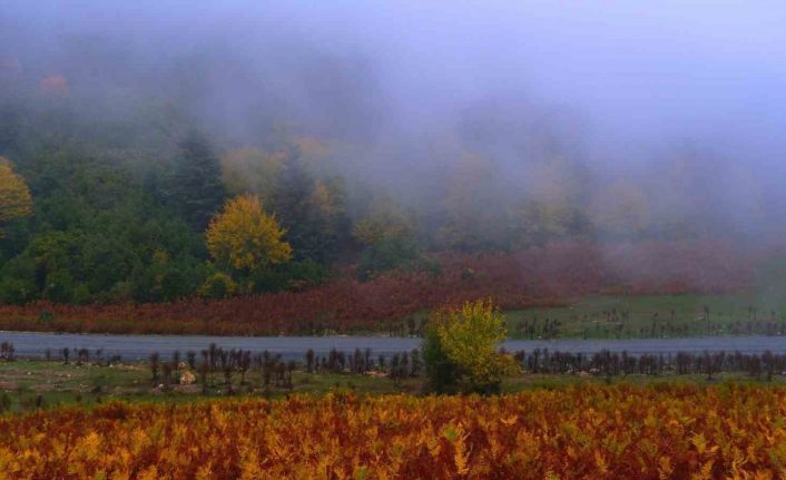 Sisler içindeki vadinin kalbinde doğa yürüyüşü