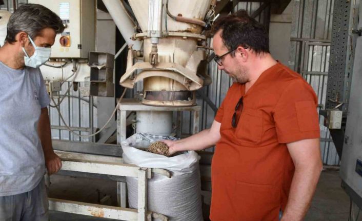 Söke Belediyesi’nden sokak hayvanları için örnek çalışma