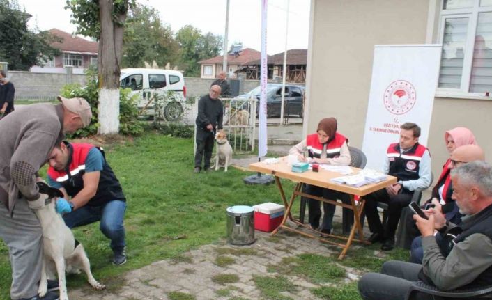 Son tarih 31 Aralık 2025