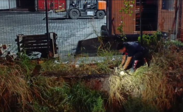 Su kanalına düşen kedi itfaiye ekiplerince kurtarıldı