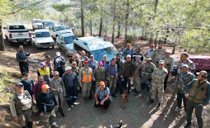 Tarım arazilerine zarar veren yaban domuzları için sürek avı