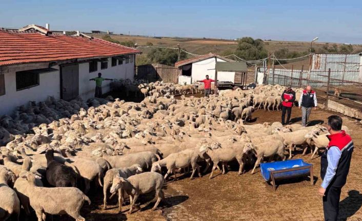 Tarım İl Müdürü Aksoy üreticinin sorunlarını yerinde dinledi