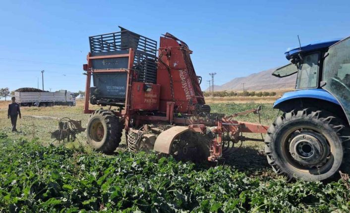 Tarımın kalbi Adilcevaz’da pancar sökümüne başlandı