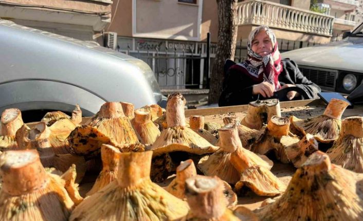 Tavşanlı pazarında mantar mesaisi