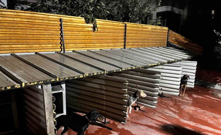 Tepkiye neden olan görüntüler sonrası Emniyet harekete geçti