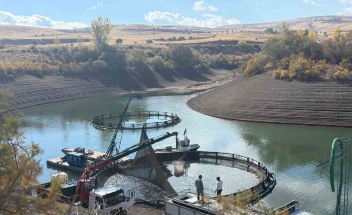 Tercan Baraj Gölü’nde su ürünleri üretimi büyüyor
