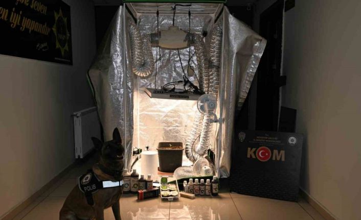 Test sonuçlarına para karşılığı müdahale: 20 gözaltı