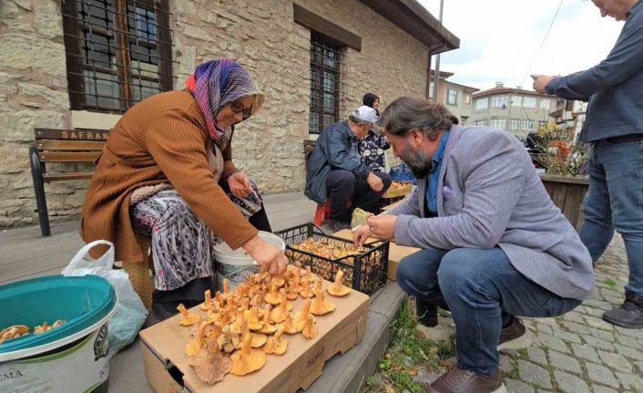 Tezgahlarda kanlıca bolluğu yaşanıyor: Kilosu 500 TL