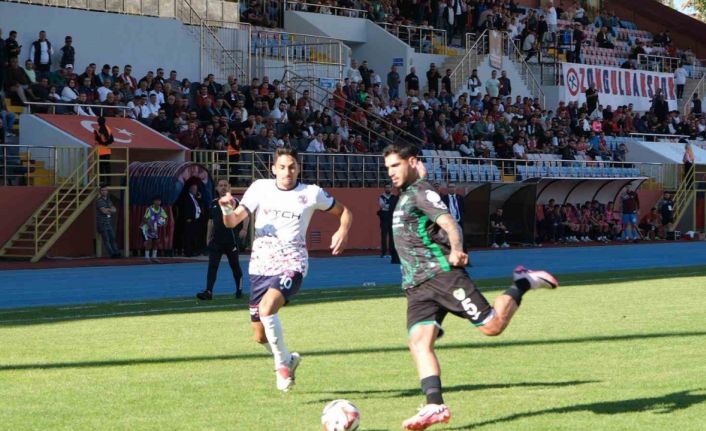 TFF 3. Lig: Zonguldakspor: 1 - Amasyaspor: 2