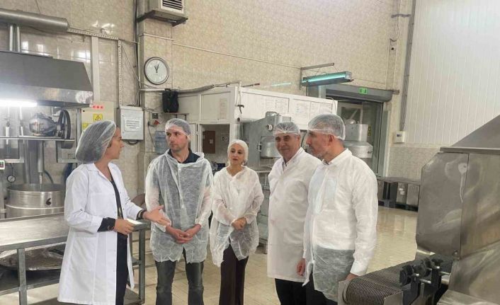 TKDK, ’Kardelen örnek niteliği taşıyor"