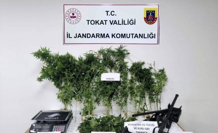 Tokat’ta jandarmadan eş zamanlı uyuşturucu operasyonu: 2 tutuklama