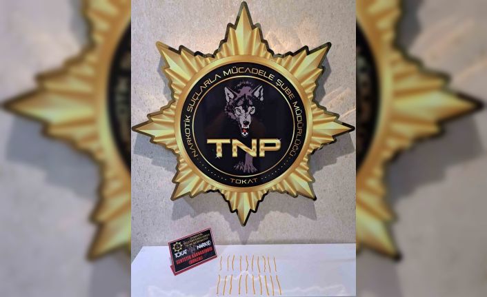 Tokat’ta uyuşturucu operasyonu, 500 içimlik bonzai ele geçirildi