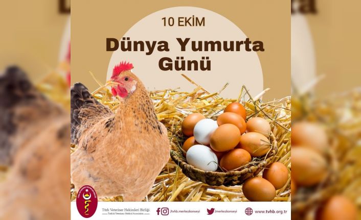 Türk Veteriner Hekimleri Birliği Başkanı Eroğlu: "Yumurta doğanın en eşsiz gıda kaynaklarından biridir"