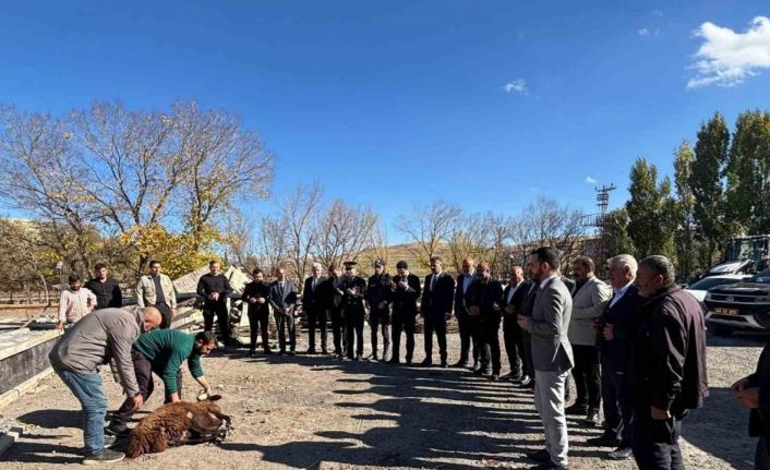 Tutak’ta hayvan pazarı yapılıyor