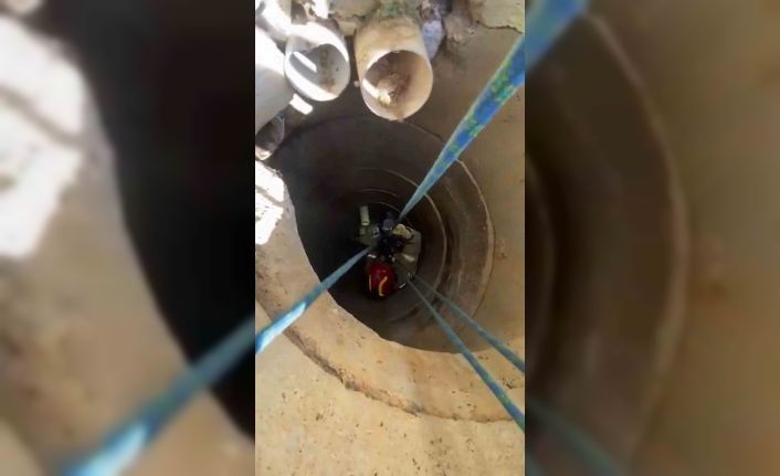 Tuzla’da 10 metrelik kuyuya düşen köpek operasyonla kurtarıldı