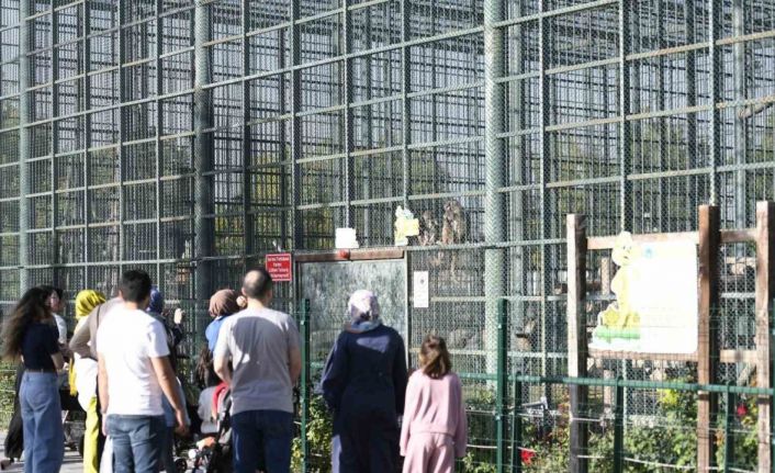 Ücretsiz olan hayvanat bahçesine ziyaretçi akını