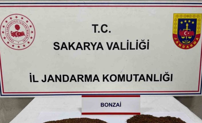 Uyuşturucu tacirleri jandarmadan kaçamadı: 2 tutuklama