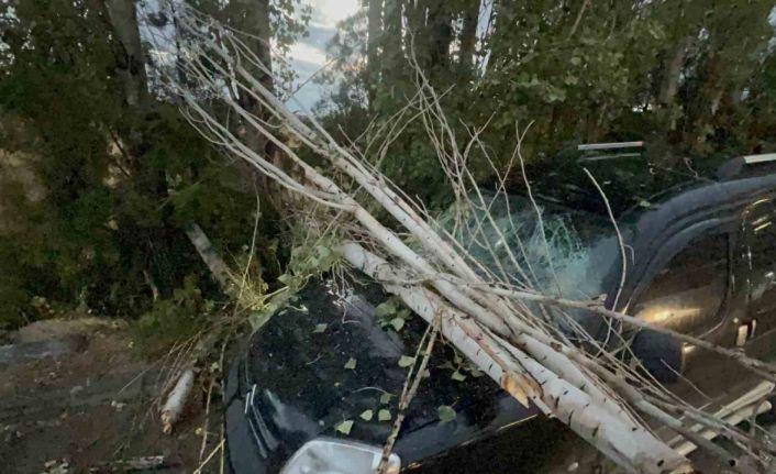 Üzerine ağaç parçası düşen araç kullanılamaz hale geldi