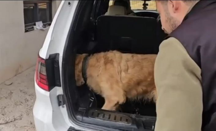 Üzümlü gümrük muhafaza ekiplerinden uyuşturucu operasyonu. Lüks otomobilde 60 kilogram metamfetamin ele geçirildi