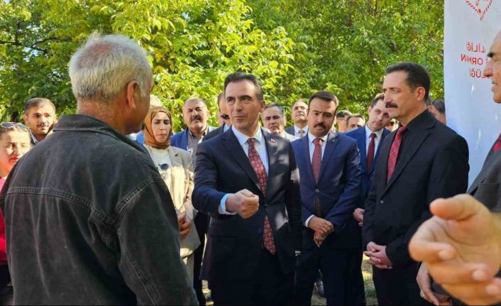 Vali Ahmet Karakaya ceviz hasadına katıldı