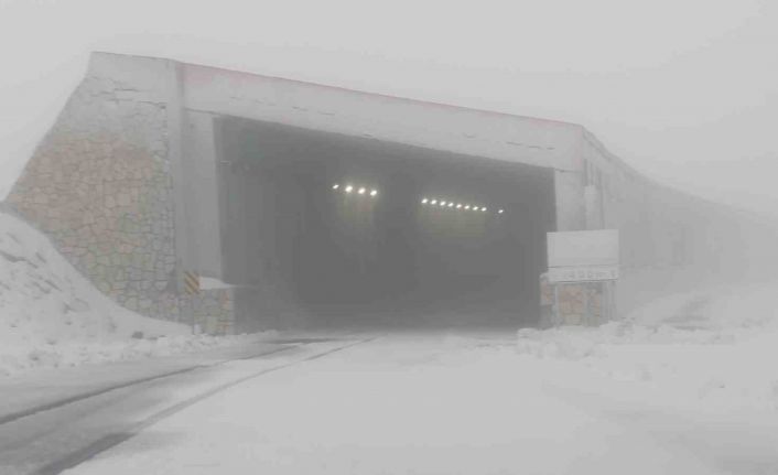 Van-Bahçesaray yolu üzerindeki Karabet Geçidi’ne mevsimin ilk karı düştü