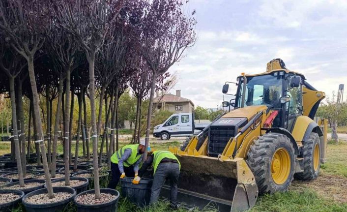 Van Büyükşehir Belediyesinden yeşillendirme çalışması
