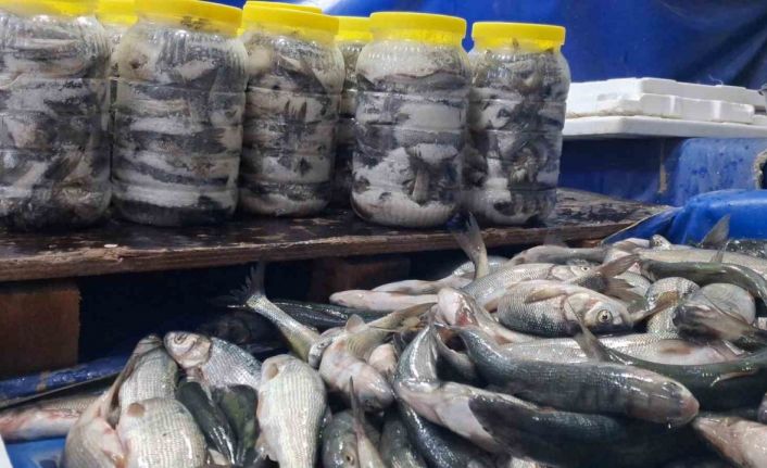 Van’da havaların soğumasıyla inci kefaline ilgi arttı