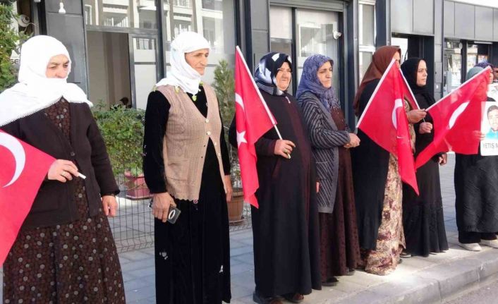 Vanlı annelerin evlat nöbeti 110’uncu haftasında