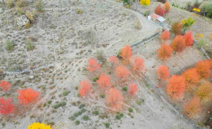 Yağlı boya tablolarını andıran sonbahar manzarası
