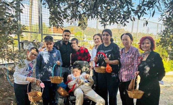Yahşi Özel Eğitim öğrencilerinden anlamlı zeytin hasadı