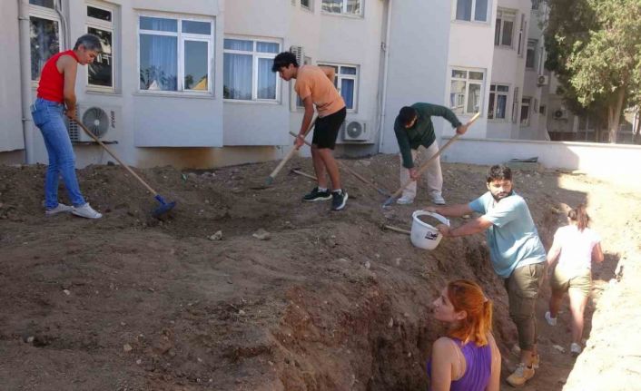 Yaklaşık 16 metrelik balinanın iskeleti gün yüzüne çıkarılmaya başladı