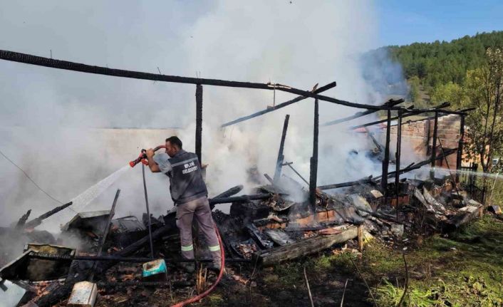 Yangında 36 kovan arı telef oldu