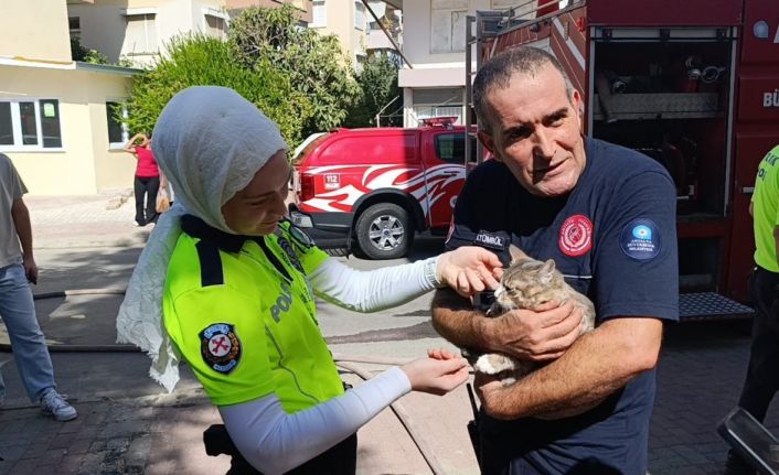 Yangında telef olduğu sanılan kedi dolabın arkasında saklanırken bulundu