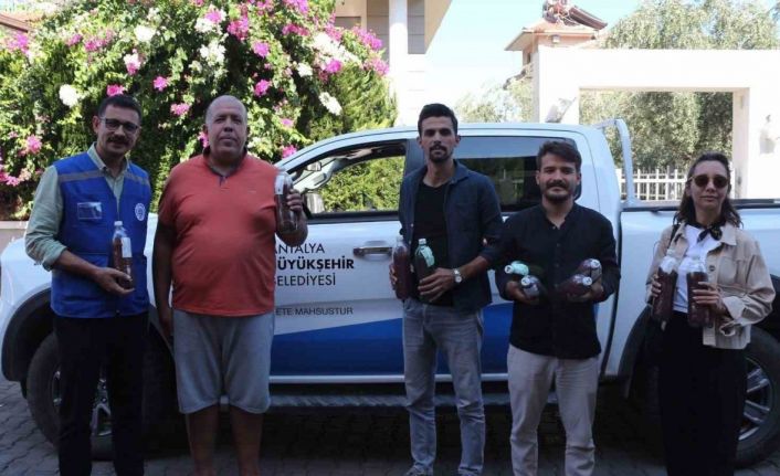 Yangınların ardından yeşil mücadele: Marmaris’ten Antalya’ya tohum desteği