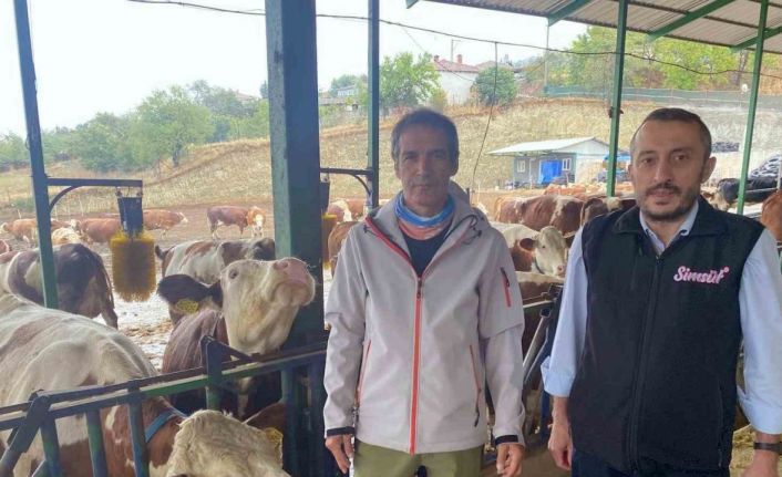 Yapay zeka süt hayvancılığında çığır açtı