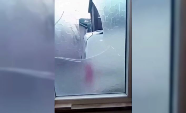 Yaşlı çift komşularının kabusu oldu