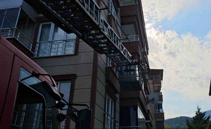 Yaşlı kadın evinde ölü bulundu