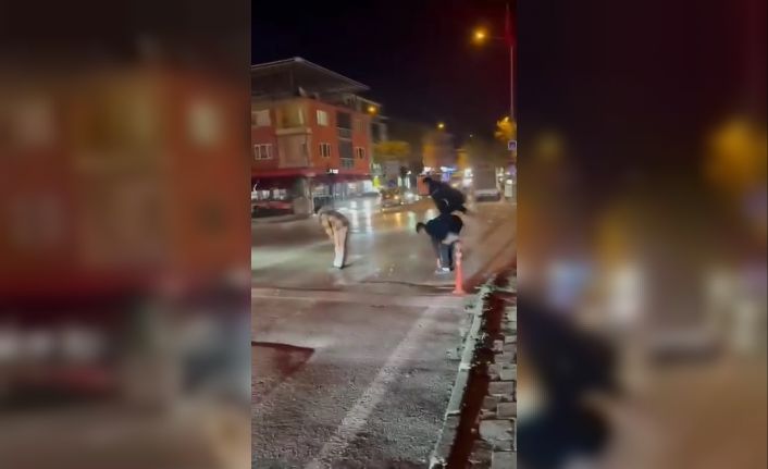 Yaya geçidinden karşıya birdirbir oynayarak geçtiler