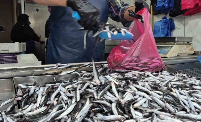 Yaz sıcakları palamudu vurdu, yerini hamsi aldı