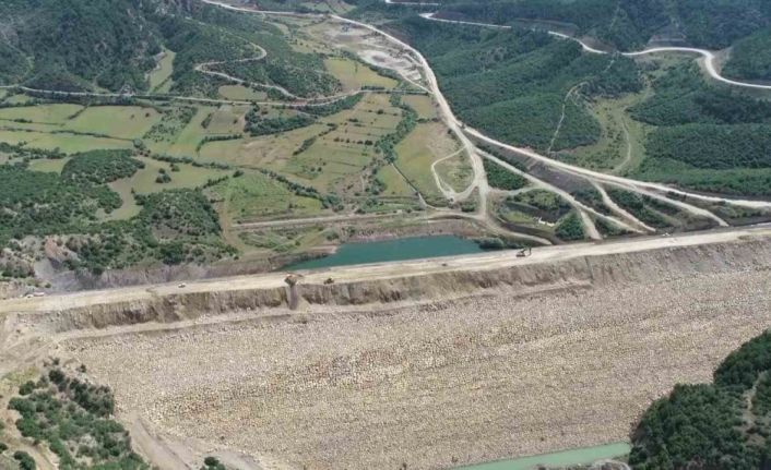 Yok olma tehlikesi bulunan ’bağ havacivası’ bitkisi baraj suları altında kalmaktan kurtarıldı