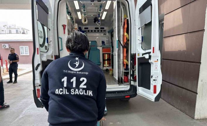 Zeytin ağacından düşen kişi yaralandı