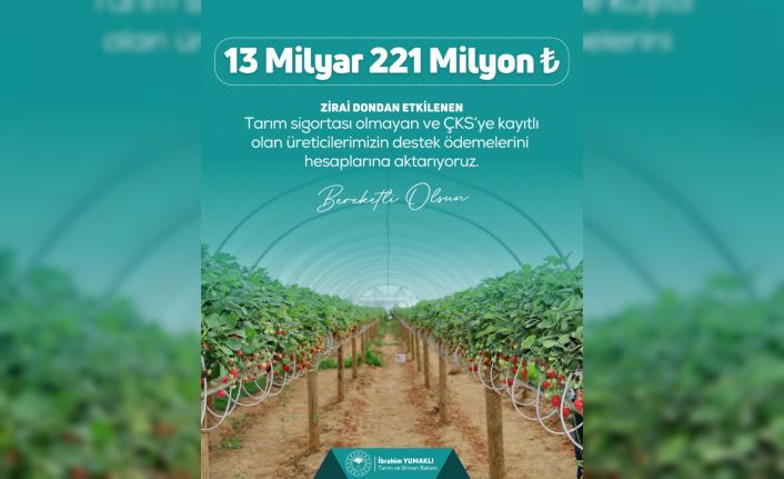 Zirai dondan etkilenen çiftçilere 13 milyar 221 milyon lira destek ödemesi yapılacak